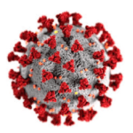 Microrganismo corona virus - d'angelo disinfestazioni