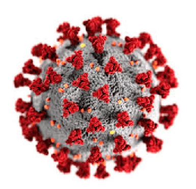 Microrganismo corona virus - d'angelo disinfestazioni